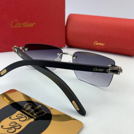 картинка Очки Cartier 140 Purple от магазина Papa Brandoff