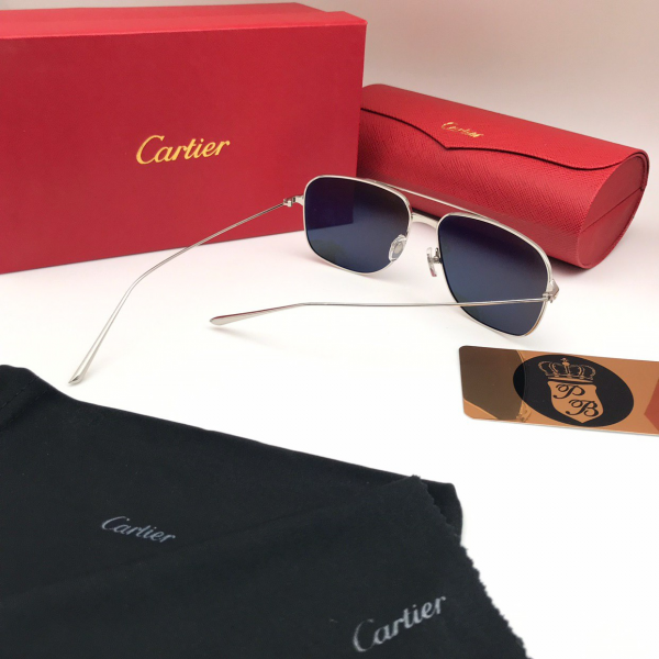 картинка Очки Cartier ESW 00276 от магазина Papa Brandoff