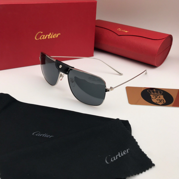 картинка Очки Cartier ESW 00276 + кожа от магазина Papa Brandoff