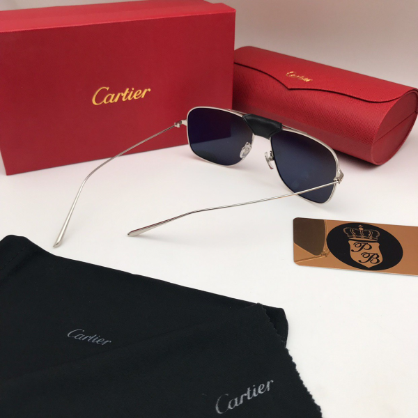картинка Очки Cartier ESW 00276 + кожа от магазина Papa Brandoff
