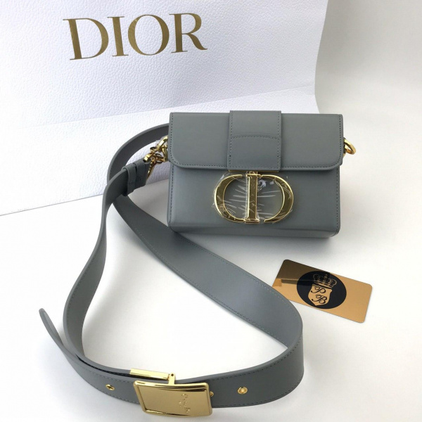 картинка Сумка Dior Montaigne Grey от магазина Papa Brandoff