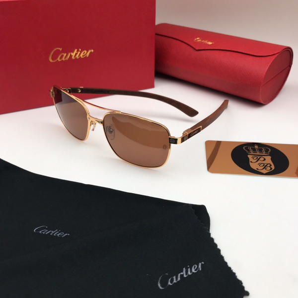 картинка Очки Cartier SANTOS-Dumont от магазина Papa Brandoff