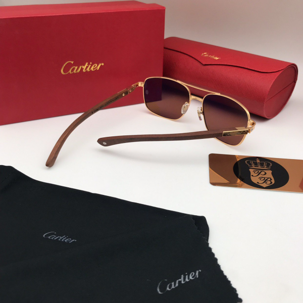 картинка Очки Cartier SANTOS-Dumont от магазина Papa Brandoff