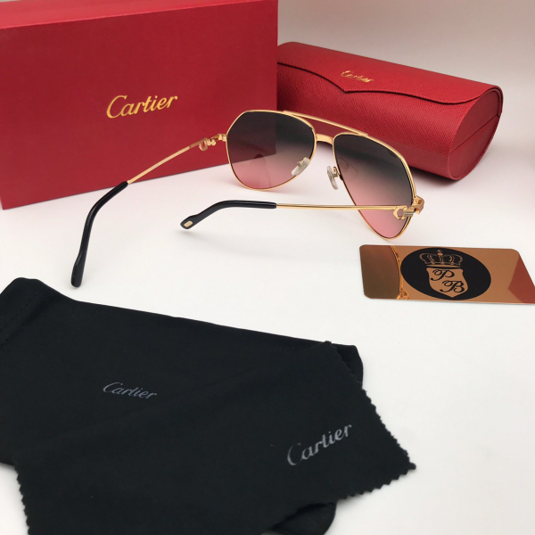 картинка Очки Cartier T8200489 от магазина Papa Brandoff