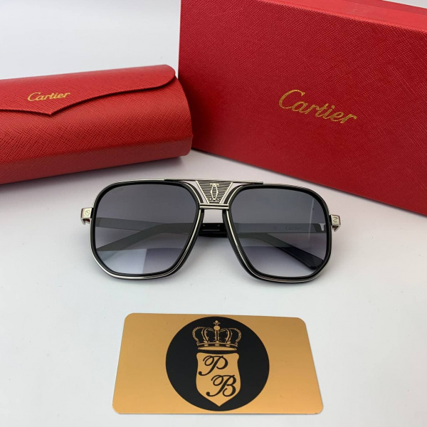 картинка Очки Cartier CT0505S 002 Grey от магазина Papa Brandoff